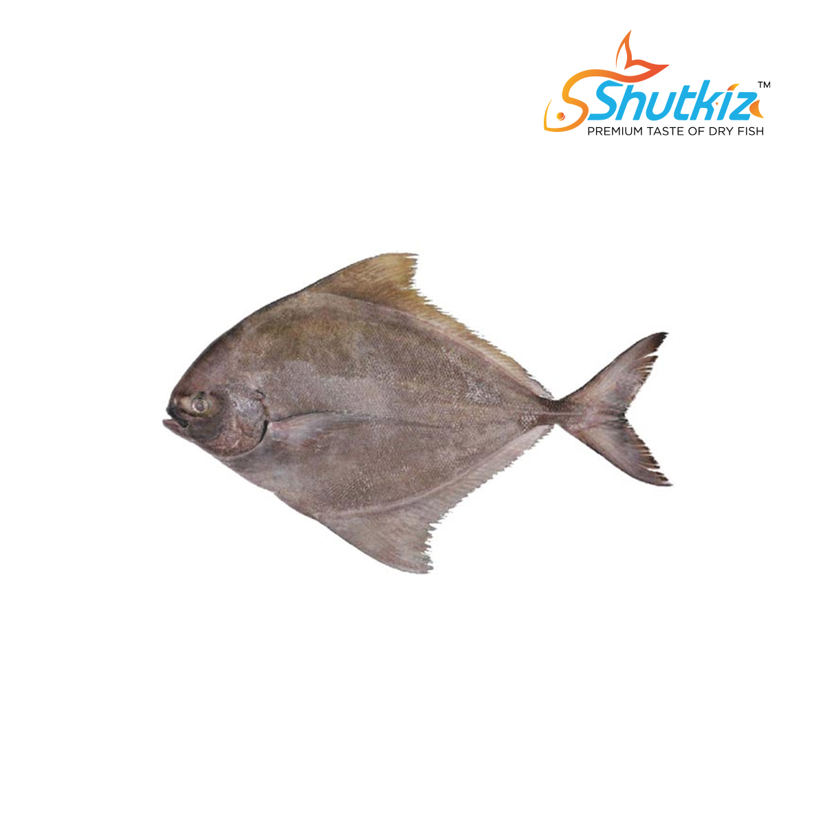 Shutkiz – The Premium Taste of Shutki
